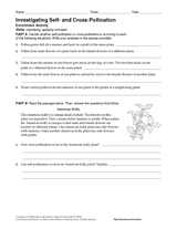 Activity: Investigating Self- and Cross-Pollination