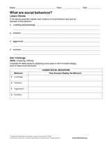 What Are Social Behaviors?